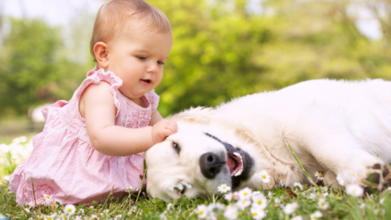 Piacciono davvero al tuo cane le coccole che gli dai?