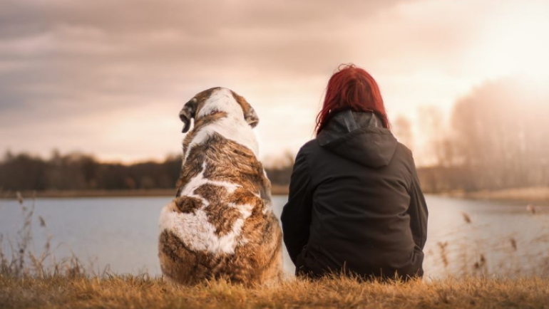 Eutanasia del nostro cane: scopriamo qualcosa in più